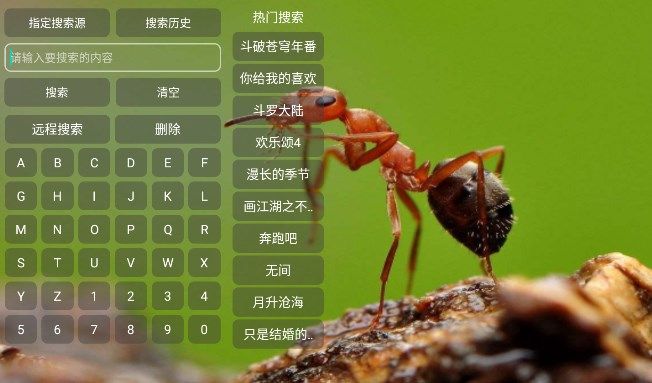 小蚂蚁TV