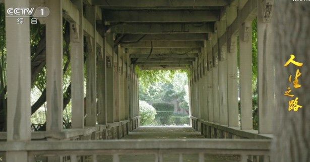 海星tv最新版