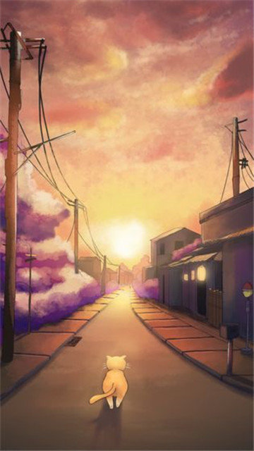 流浪的橘猫侠游戏经典版