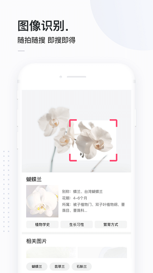 百度简单搜索