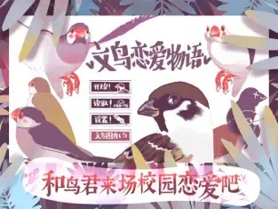 文鸟恋爱物语