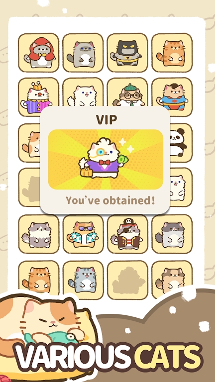 我的完美猫旅