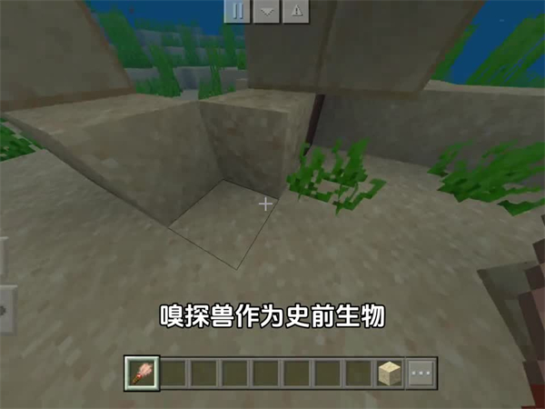 我的世界暑期双版本