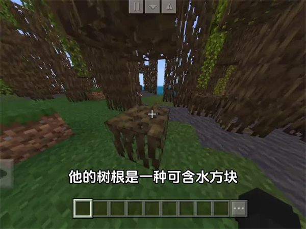 我的世界暑期双版本