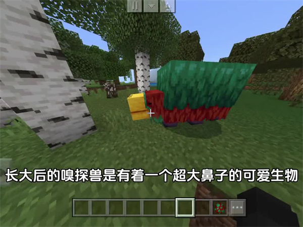 我的世界暑期双版本