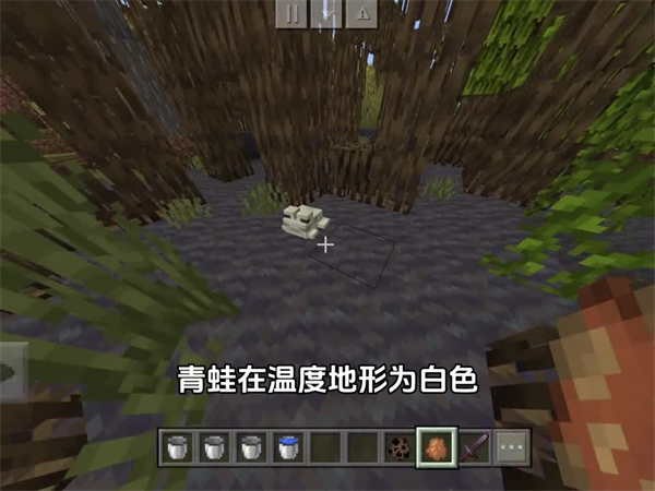 我的世界暑期双版本