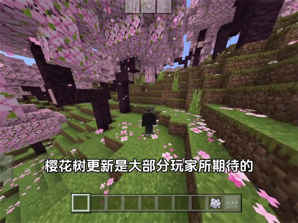 我的世界暑期双版本