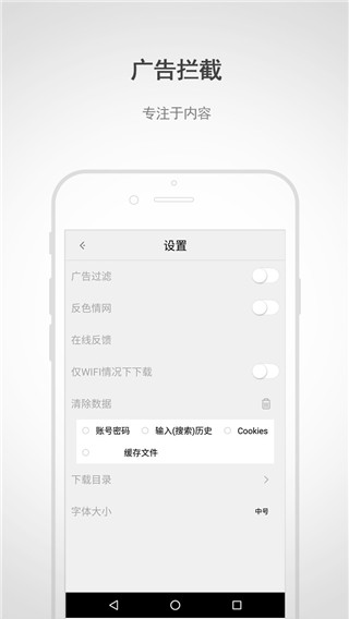 闪电浏览器最新版本