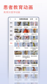 3dbody解剖