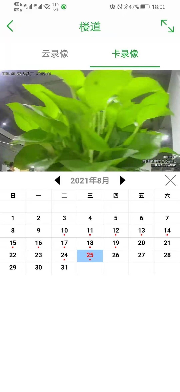 Seetong客户端