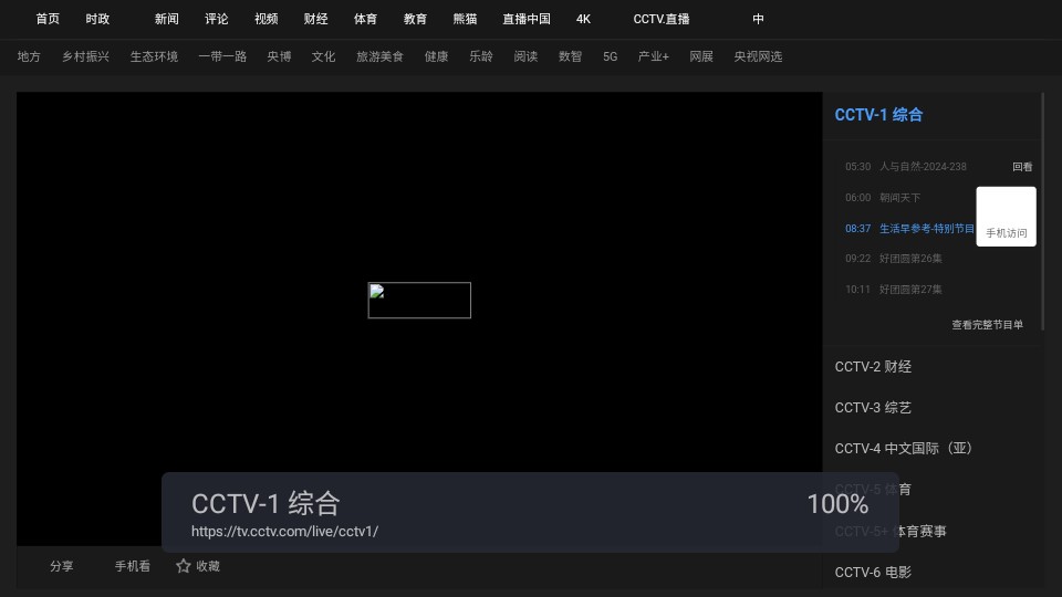 WebView 电视