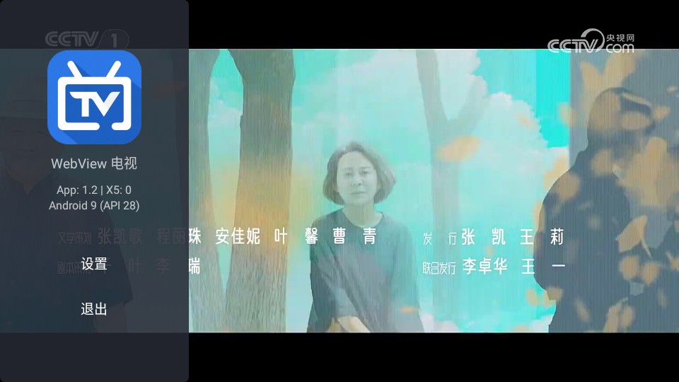 WebView 电视