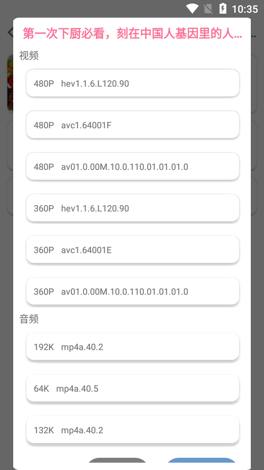 bvd下载器