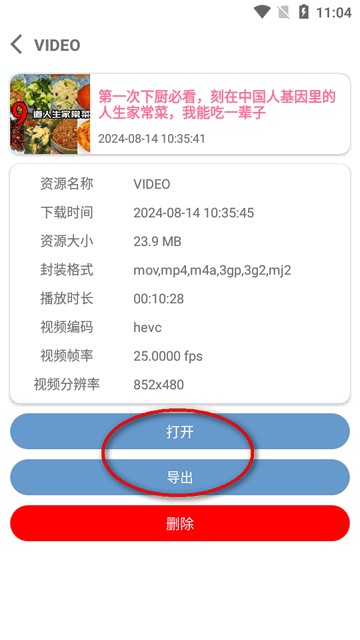 bvd下载器