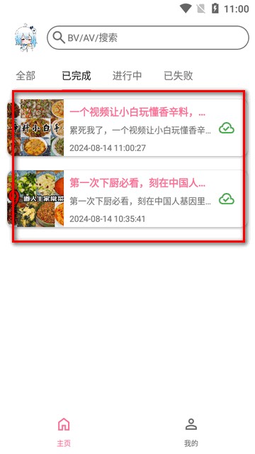 bvd下载器