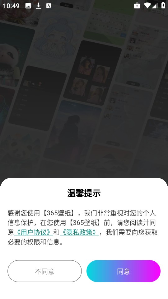 365壁纸