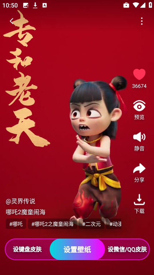 365壁纸